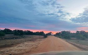 Yala Hotel Lion - Air Conditioned Luxury Tented Safari Camp